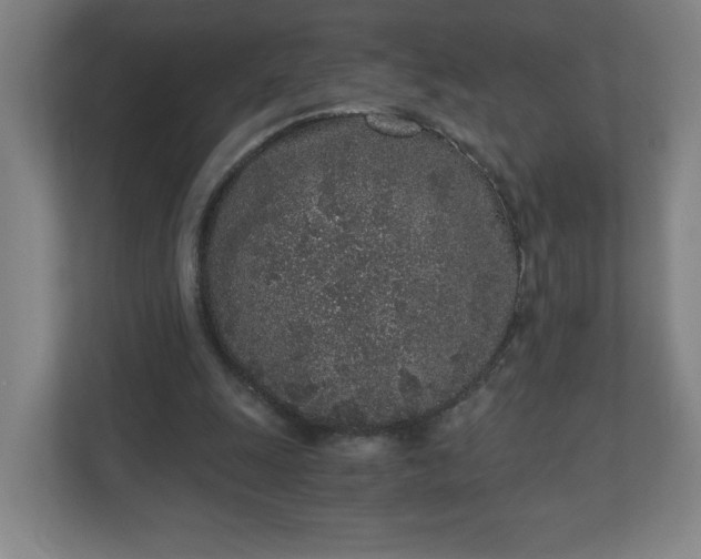 X0000110870247200906251234