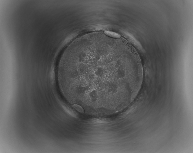 X0000110870250200906251234