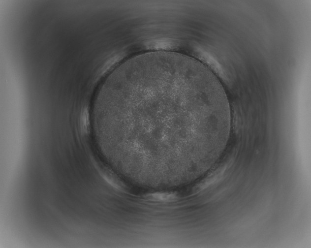 X0000110870251200906251234