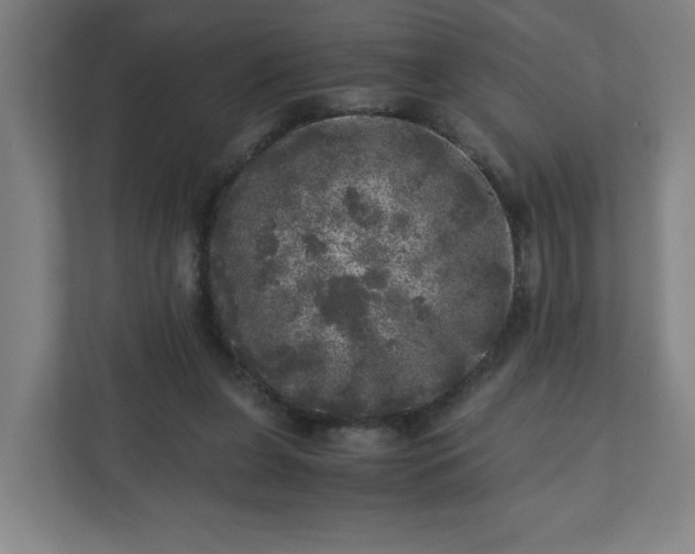 X0000110870255200906251234