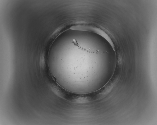 X0000110870256200906251234