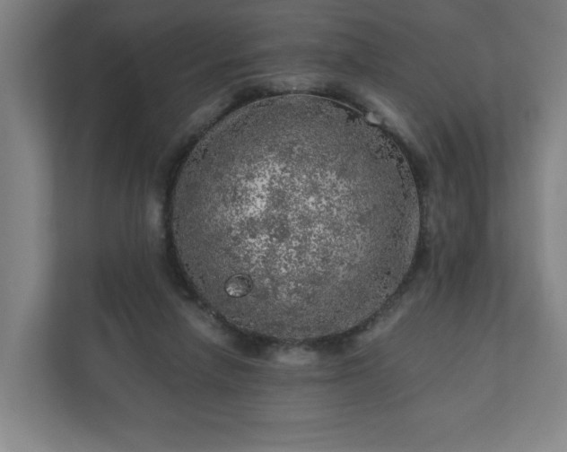 X0000110870258200906251234