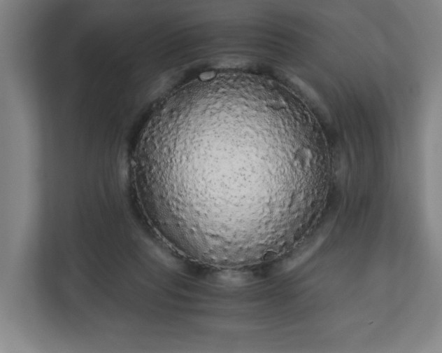 X0000110870261200906251234