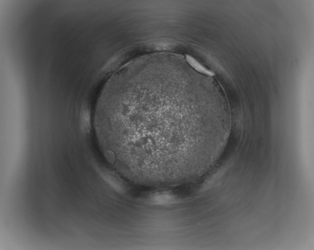 X0000110870262200906251234