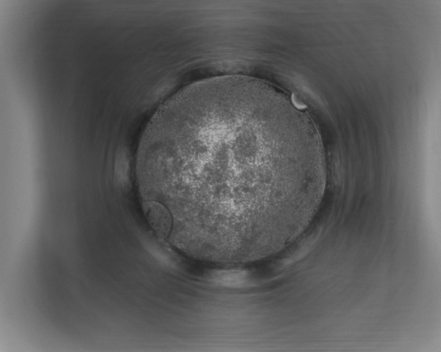 X0000110870266200906251234