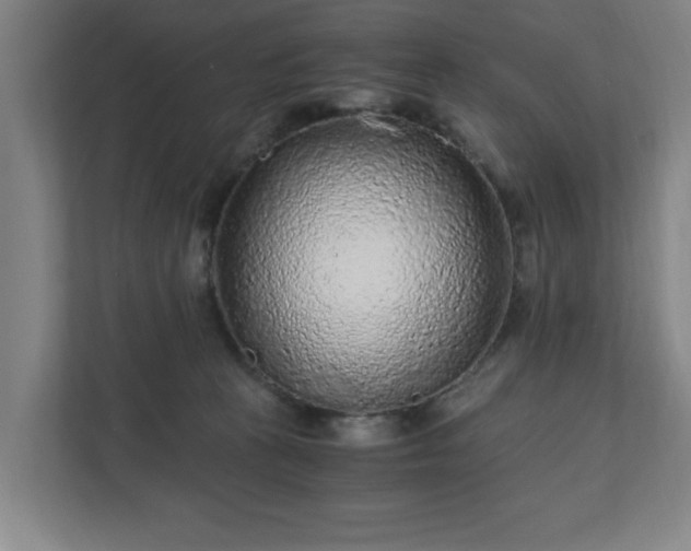 X0000110870273200906251235