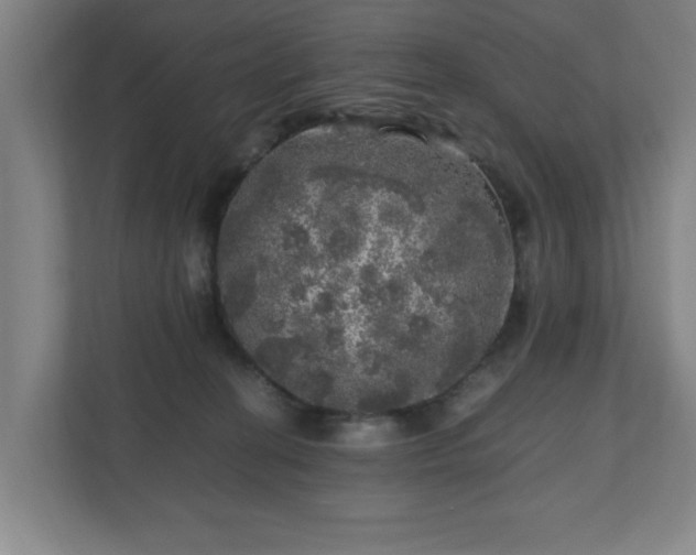 X0000110870274200906251235