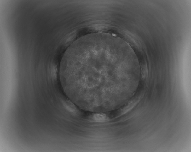 X0000110870279200906251235