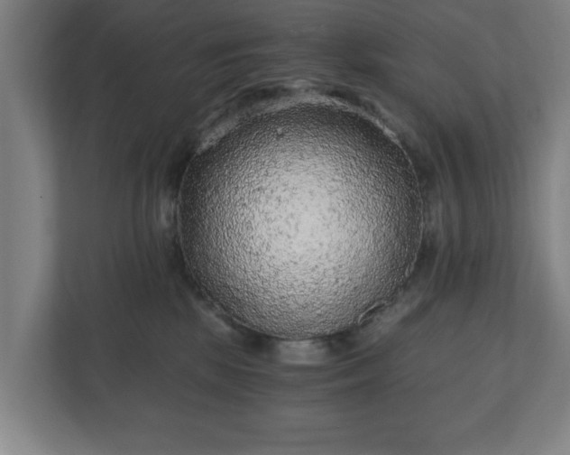 X0000110870281200906251235