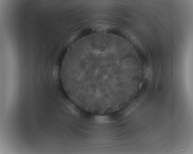 X0000110870283200906251235