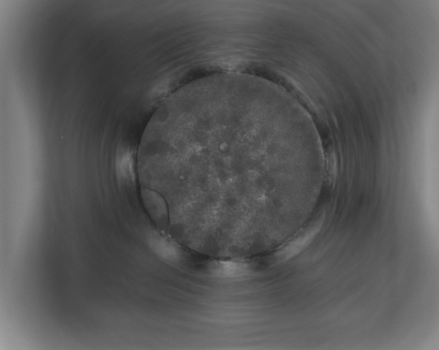 X0000110870286200906251235