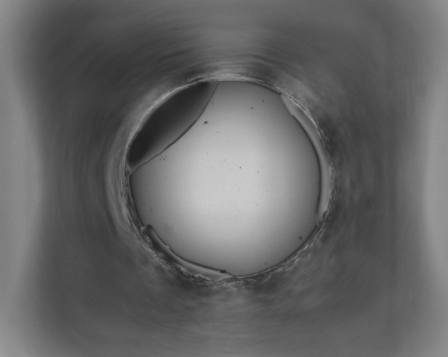 X0000110870289200906251234