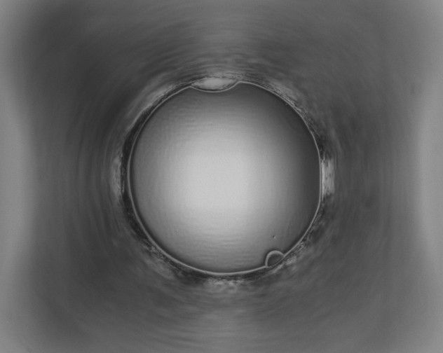 X0000110870291200906251234