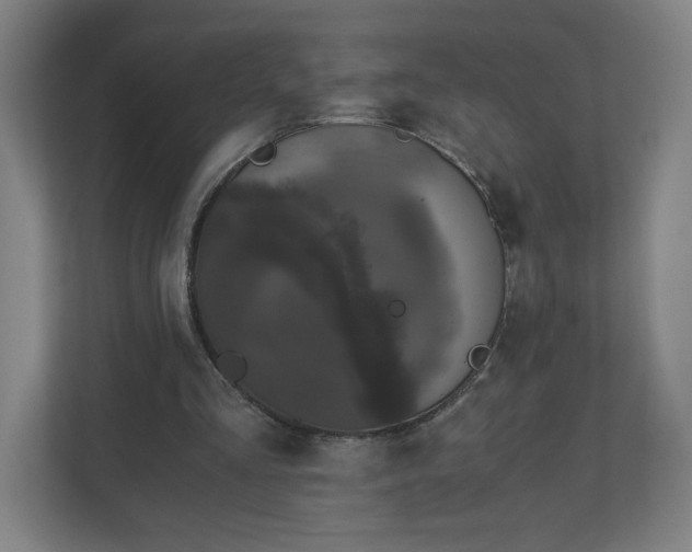 X0000110870293200906251234