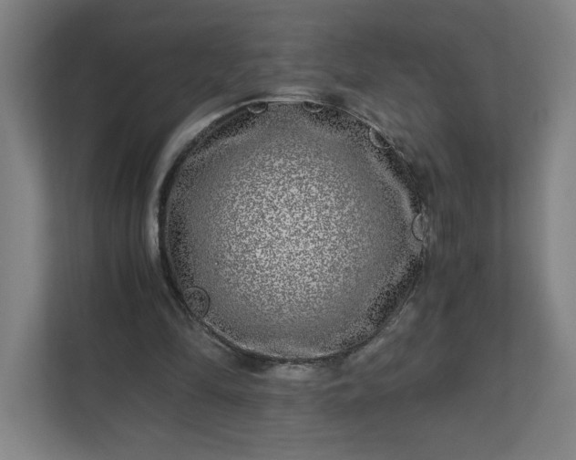 X0000110870294200906251234