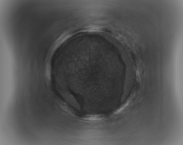 X0000110870295200906251234