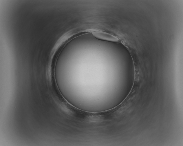 X0000110870296200906251234