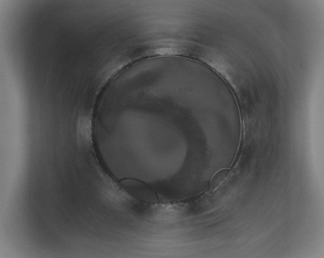 X0000110870297200906251234