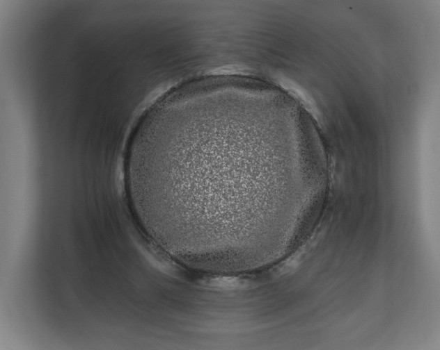 X0000110870298200906251234