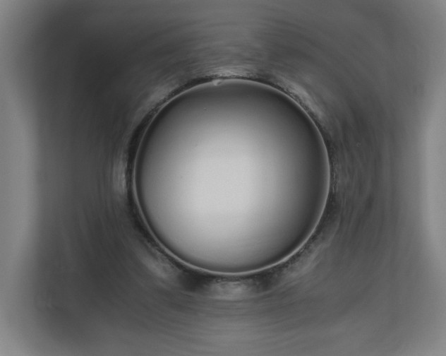 X0000110870299200906251234