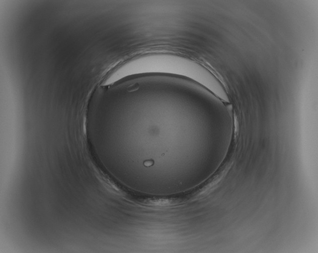 X0000110870301200906251234