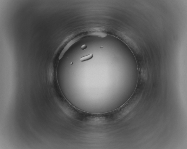 X0000110870304200906251234