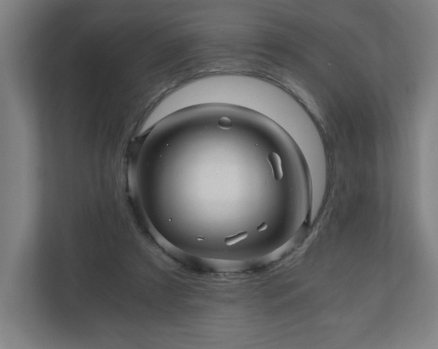 X0000110870305200906251234