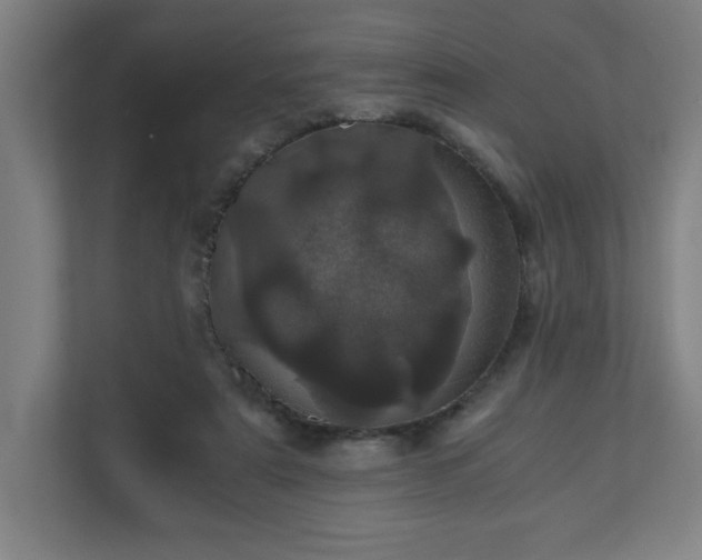 X0000110870307200906251234