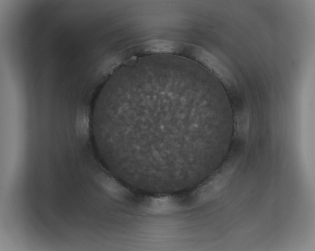 X0000110870309200906251234