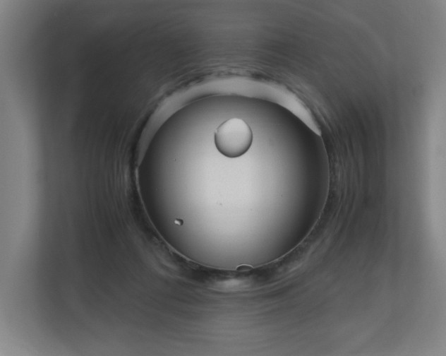 X0000110870312200906251234