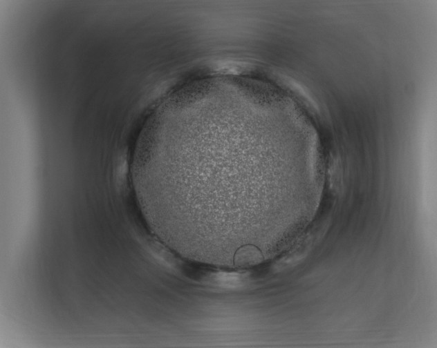 X0000110870314200906251234