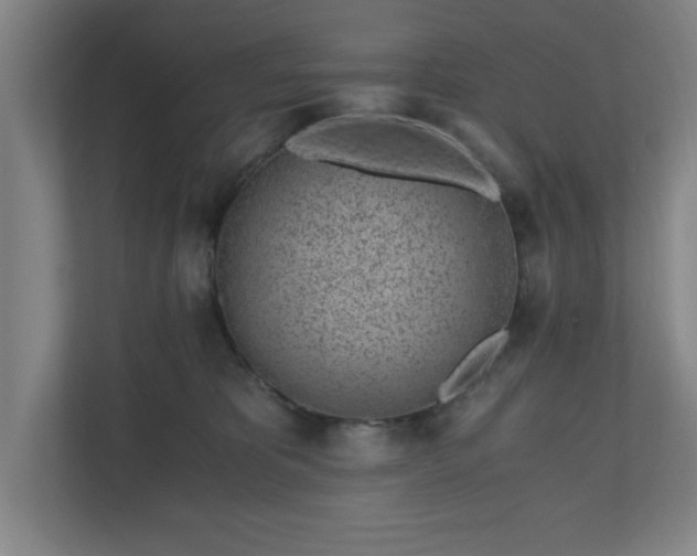 X0000110870325200906251234