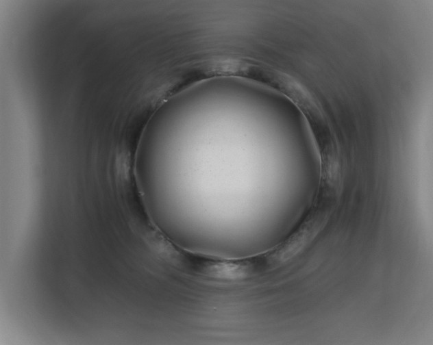 X0000110870326200906251234