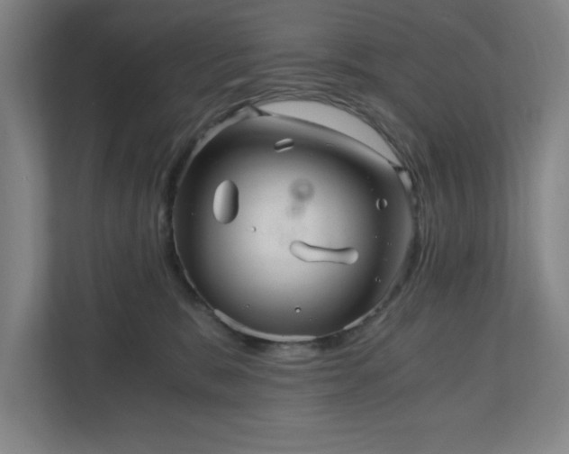 X0000110870327200906251234