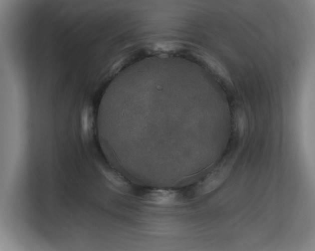 X0000110870328200906251234