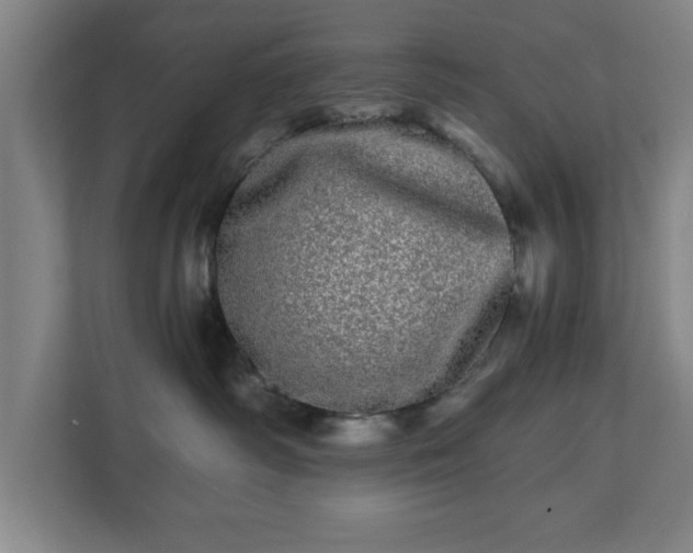 X0000110870334200906251233