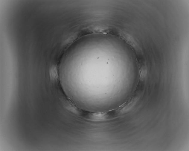 X0000110870335200906251233