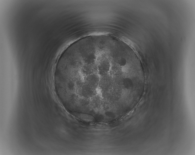 X0000110870337200906251233