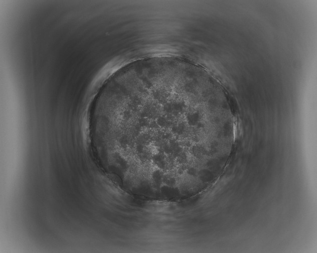 X0000110870339200906251233