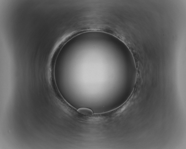 X0000110870342200906251233