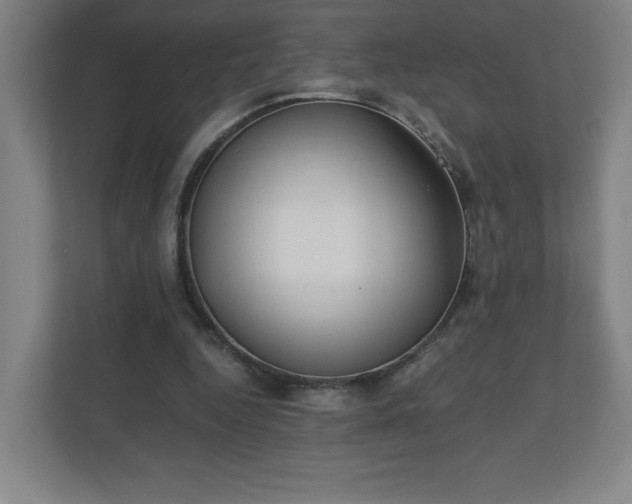 X0000110870344200906251233