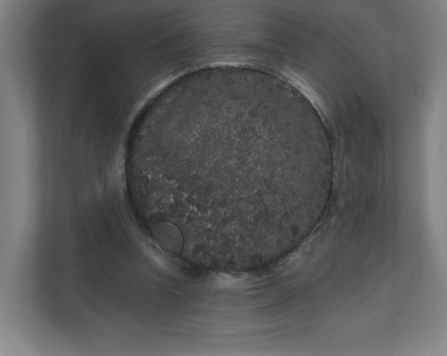 X0000110870346200906251233