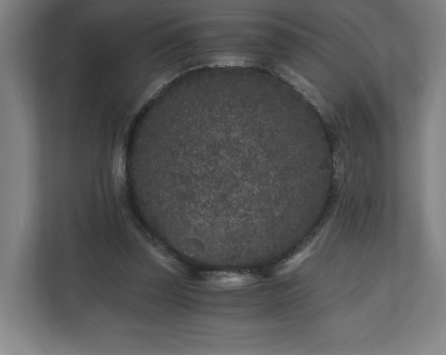 X0000110870347200906251233