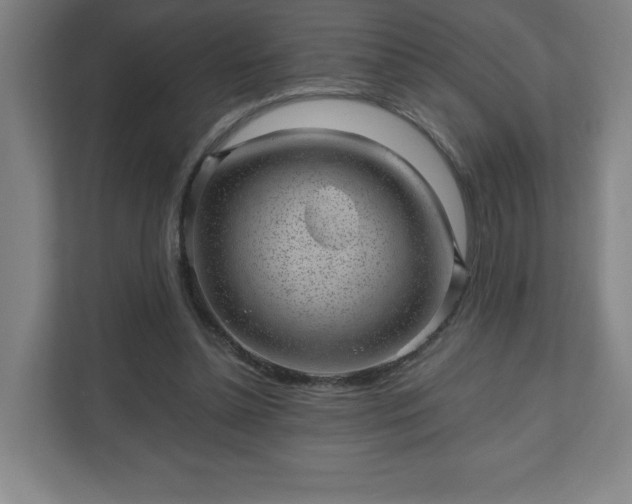 X0000110870348200906251233