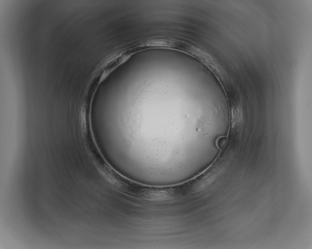 X0000110870349200906251233