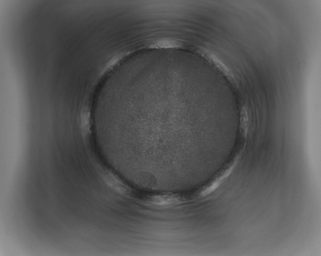 X0000110870351200906251233