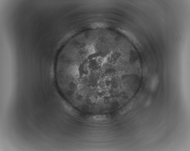 X0000110870353200906251233