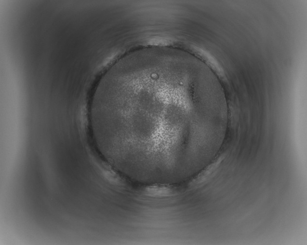 X0000110870354200906251233