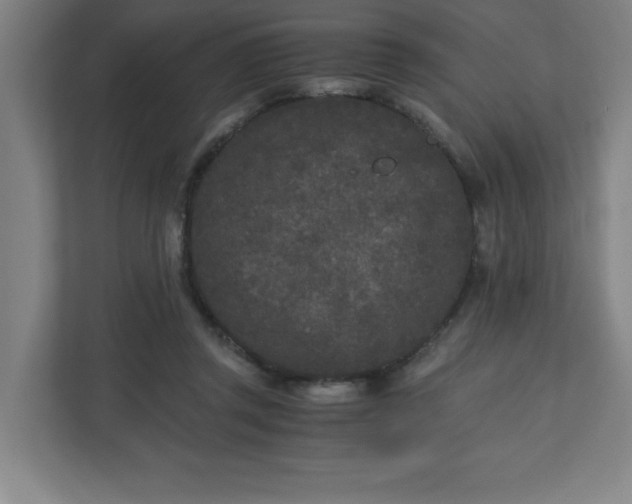 X0000110870357200906251233