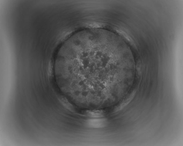 X0000110870359200906251233